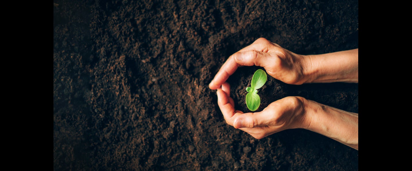 farming image of hands planting