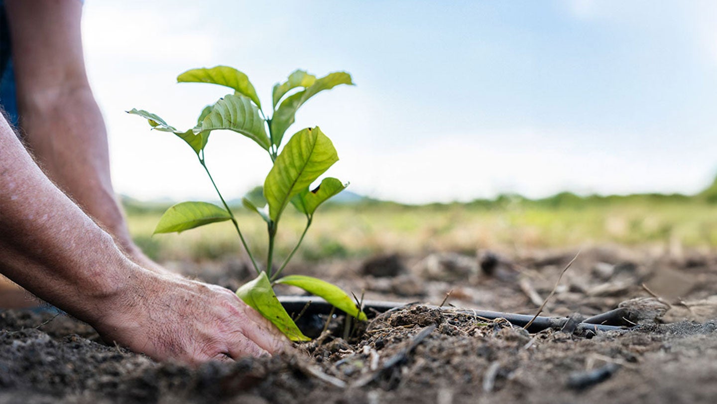 Sustainability Nestle 2025