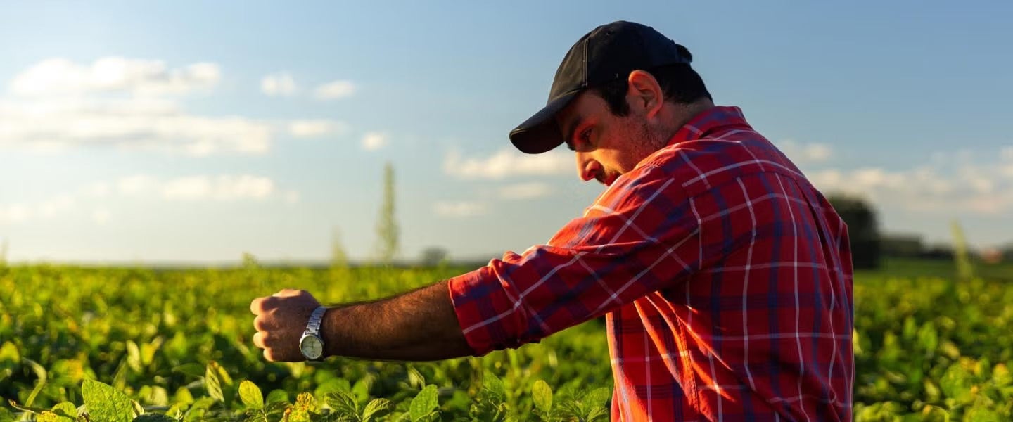 Garden Gourmet Sustainability