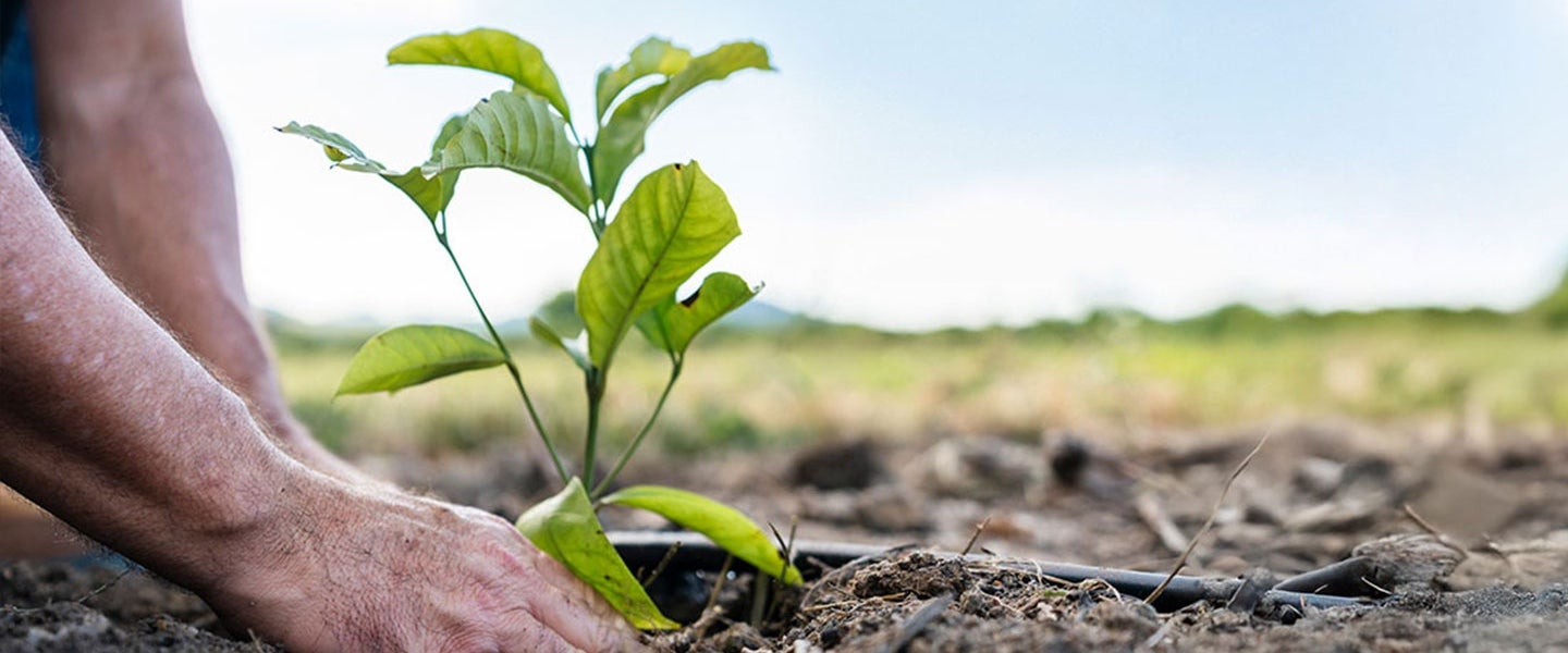 Sustainability Nestle 2025